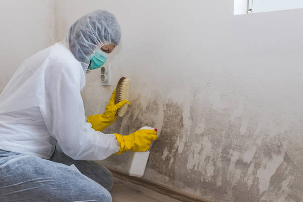 Best Mold Cleaning Services  in Topeka, IN