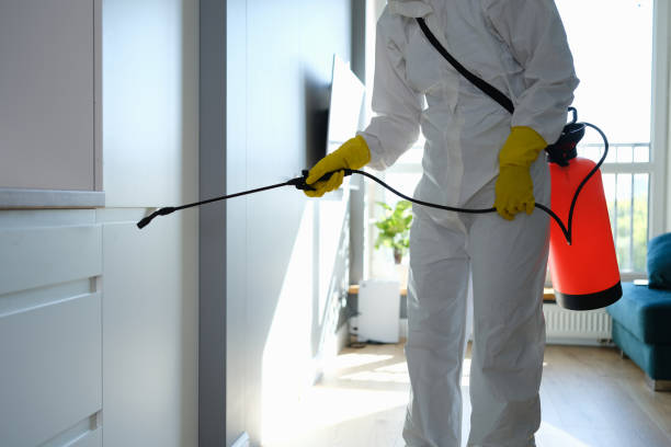 Best Crawl Space Mold Removal  in Topeka, IN